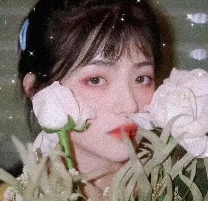 机甲学员